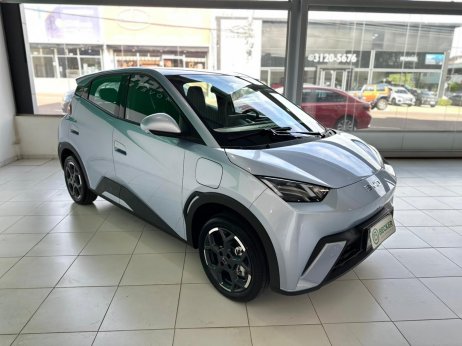 BYD foto 2