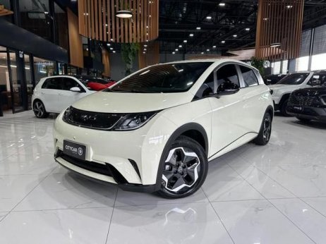 BYD foto 1