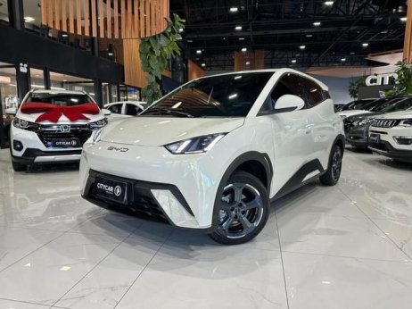 BYD foto 1