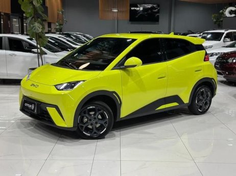 BYD foto 1