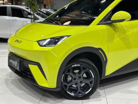 BYD foto 2