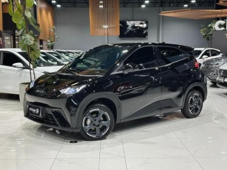 BYD foto 1