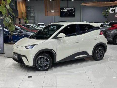 BYD foto 1